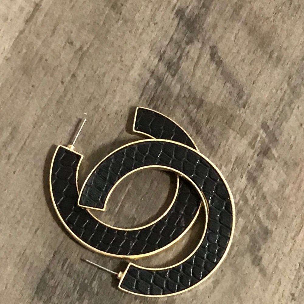 Earrings new never used
